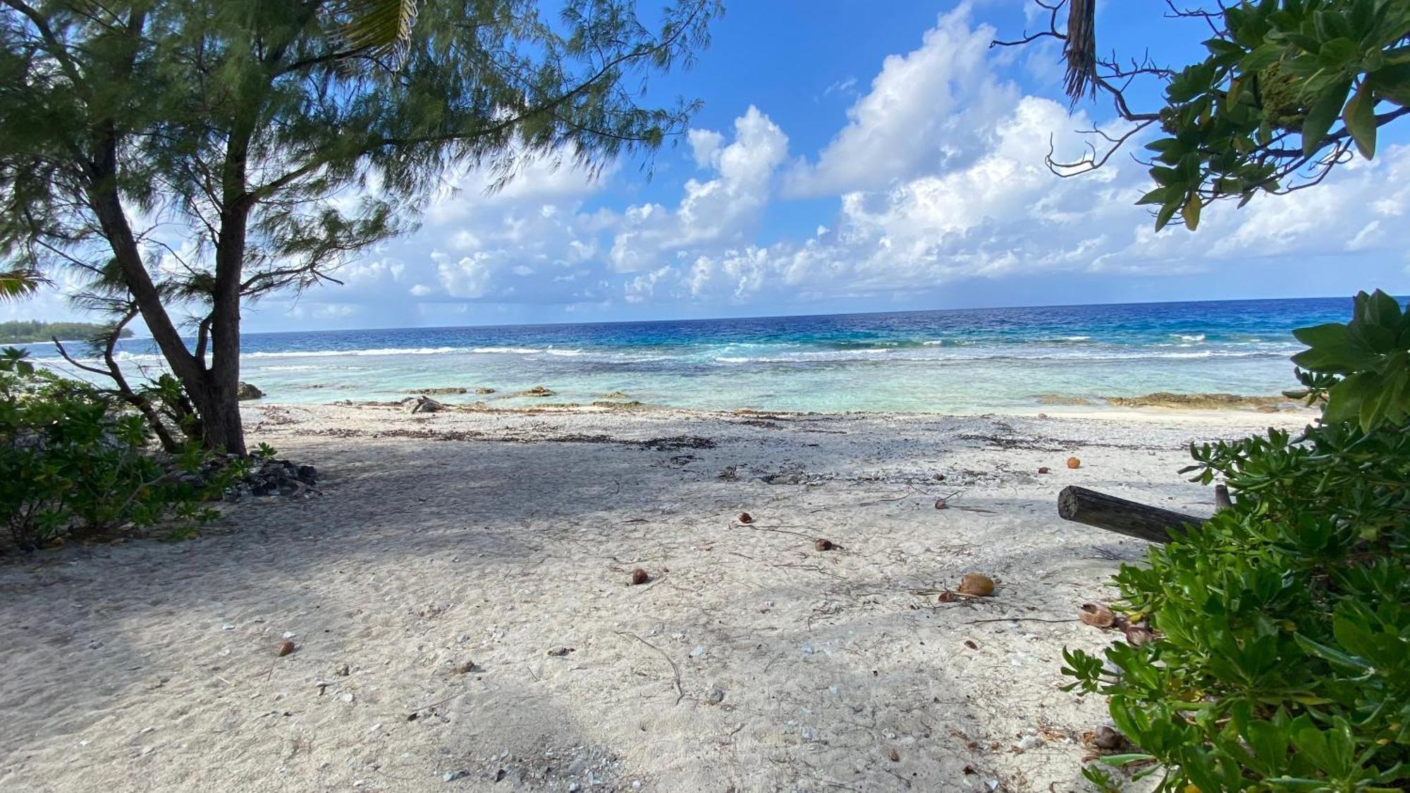 Moorea Chill And Beach Lodge Teavaro Εξωτερικό φωτογραφία