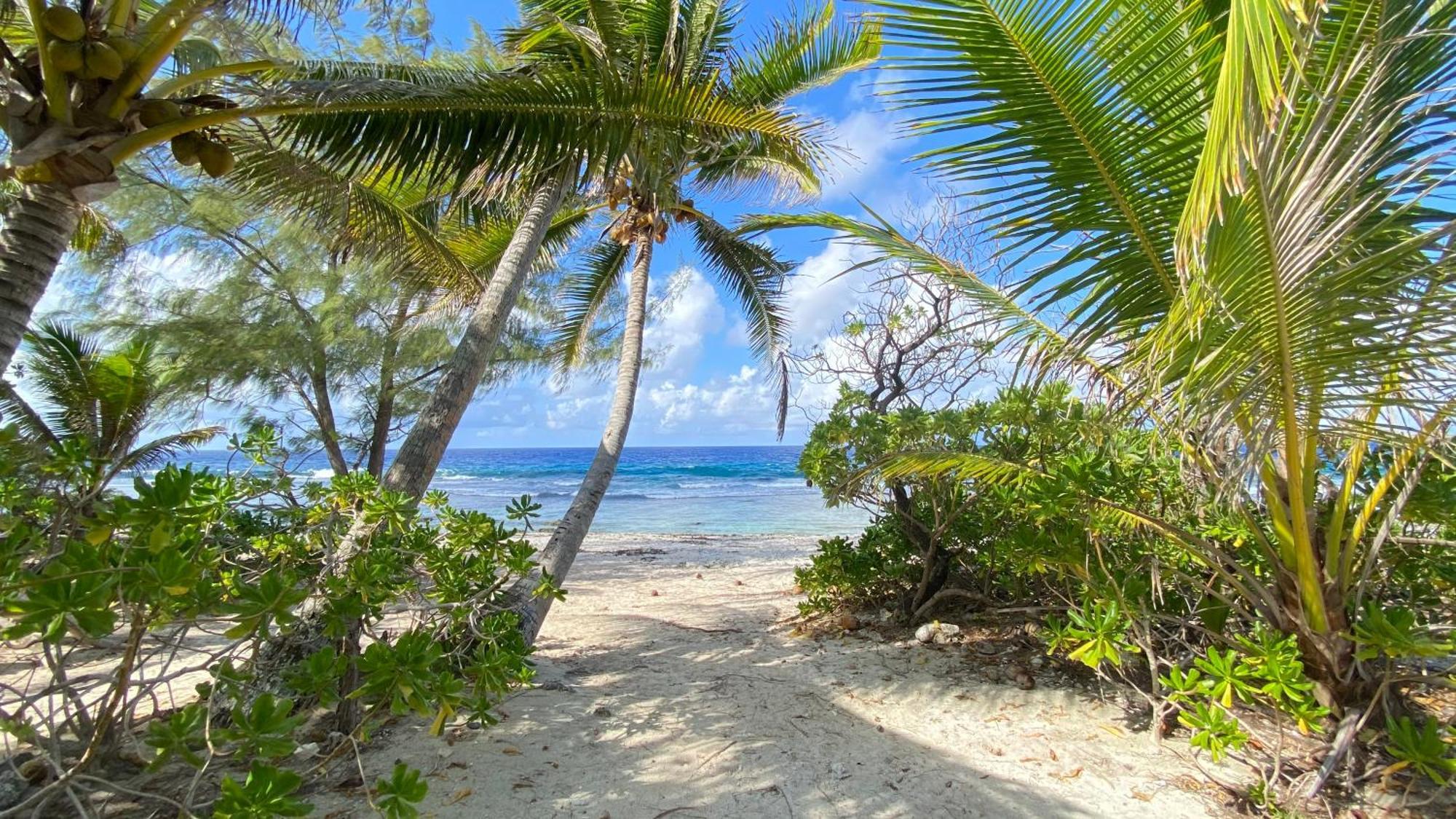 Moorea Chill And Beach Lodge Teavaro Εξωτερικό φωτογραφία